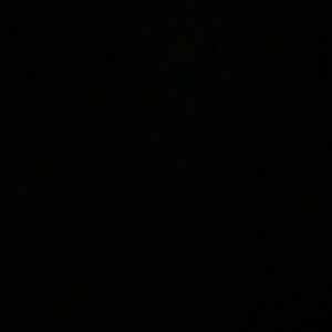 Meet your Posher, Wyatt